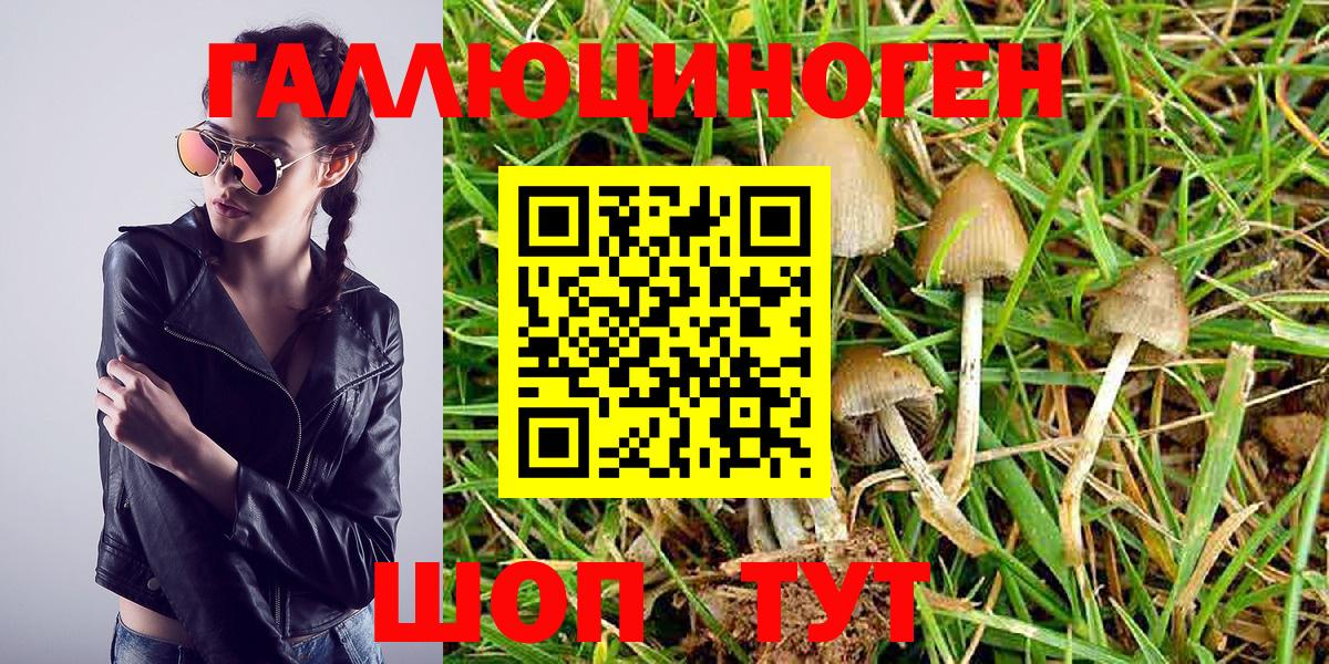 Псилоцибиновые грибы MAGIC MUSHROOMS  Галлюциногенные грибы MAGIC MUSHROOMS  Вход с VPN  Нефтеюганск 